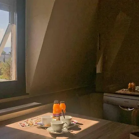 La Pommeraie Appartement Colmar